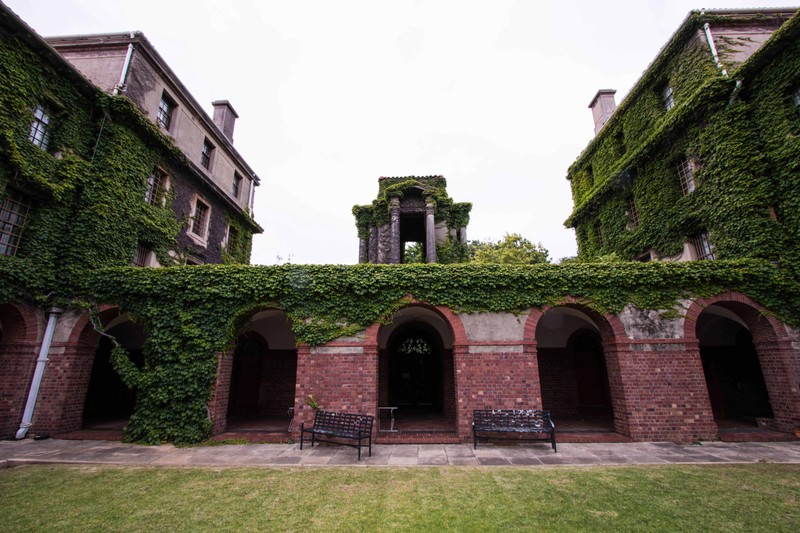 Brick archways covered in green ivy at Cape Town University campus