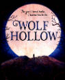 Wolf hollow by Lauren Wolk