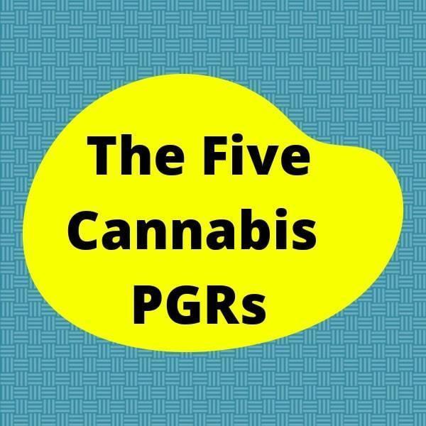 Cannabis Plant Growth Regulator Articles