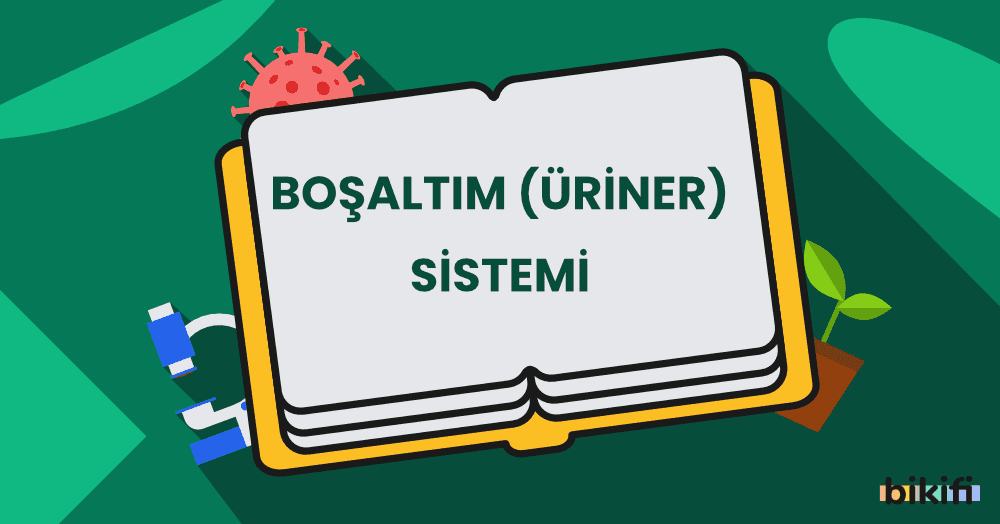 Boşaltım (Üriner) Sistemi