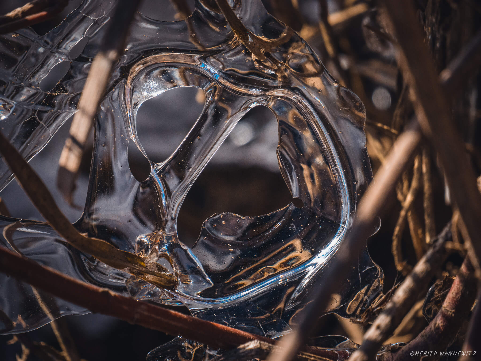 A bizarre shape of ice between tree branches.