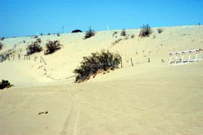 Dunes Border