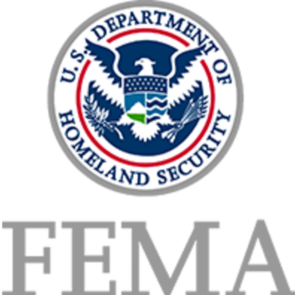 Fema logo