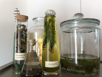 Collection of different sized jars with labels (e.g. Gillyweed)