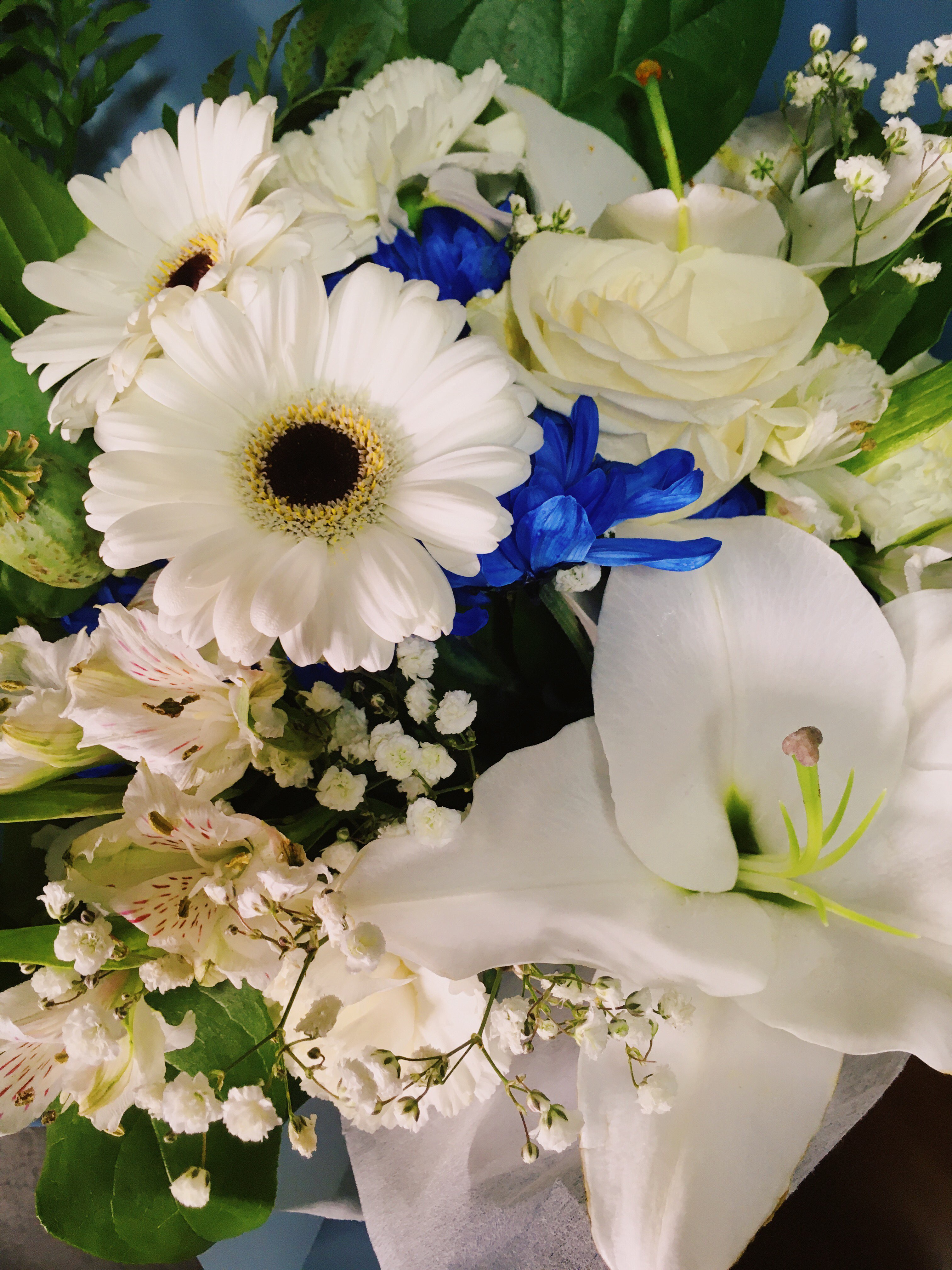 A bouquet of white and blue flowers.