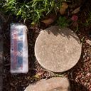 Folded Messenger newspaper by some plants and gravel, juxtaposed with a circular concrete garden stepping stone – together forming ten