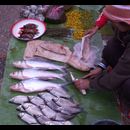Laos Markets 21