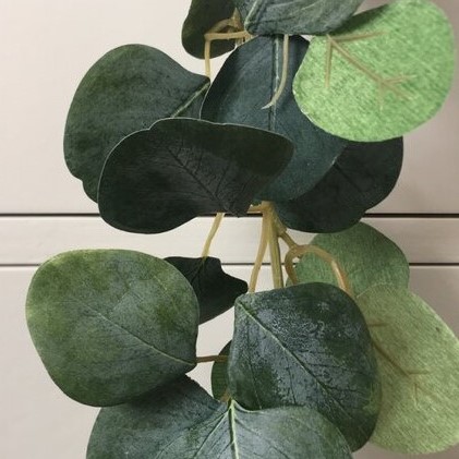 eucalyptus garland