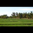 Sudan Dongola Villages 7