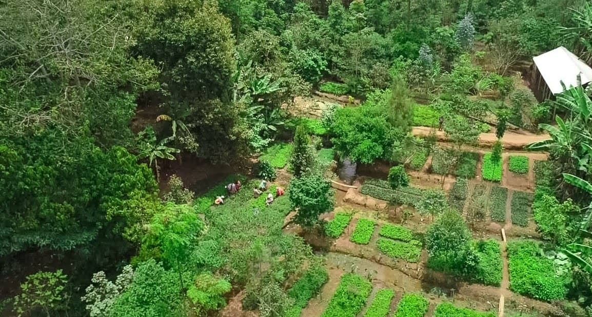 Aerial view of one of our tree nurseries in Tanzania 