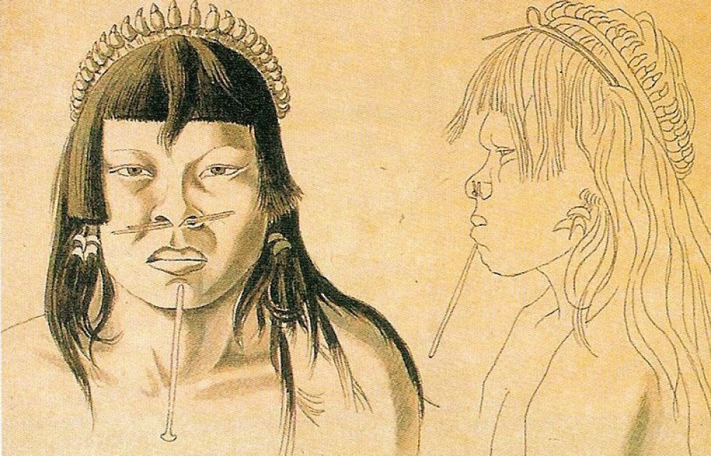 Chronique Livre : Les Amazoniques de Boris Dokmak sur Quatre Sans Quatre
