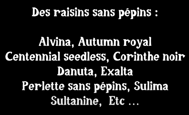 Liste des vignes aux résins sans pépins