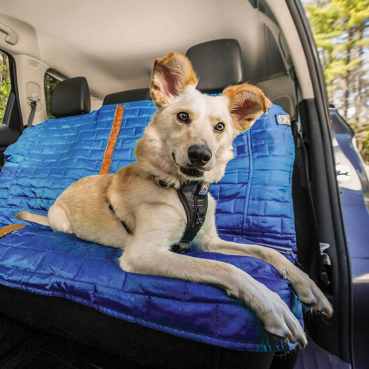 Complete Seat Protection Guide Kurgo Dog Products