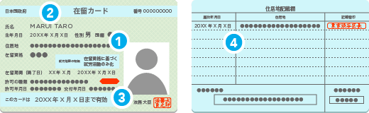 在留カード登録証明書のイラスト