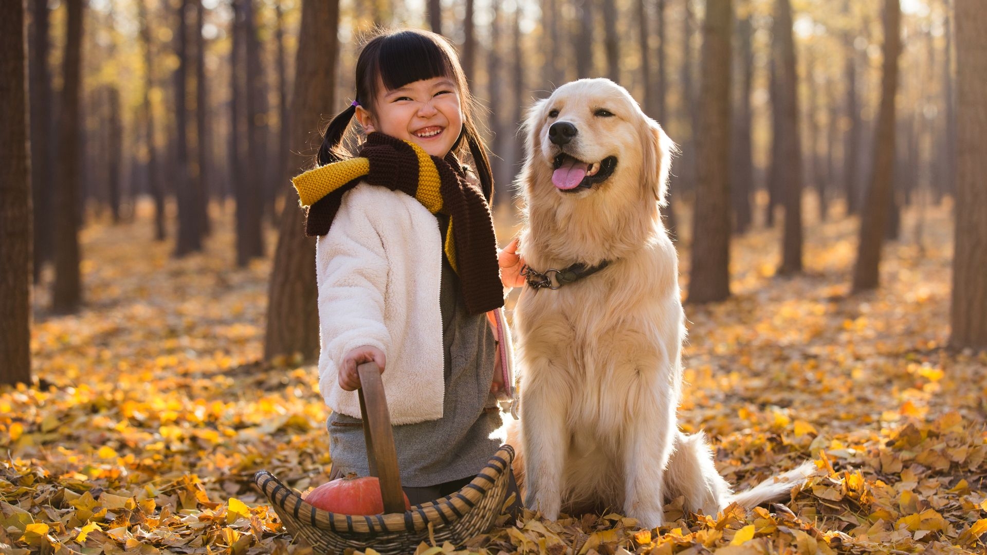 Picking the Right Pet, How to Stay Healthy Around Pets
