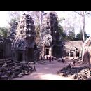 Cambodia Ta Prohm 24