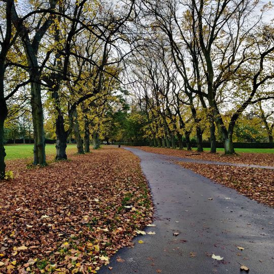 Woodhouse Moor (Hyde Park) - Discover Leeds