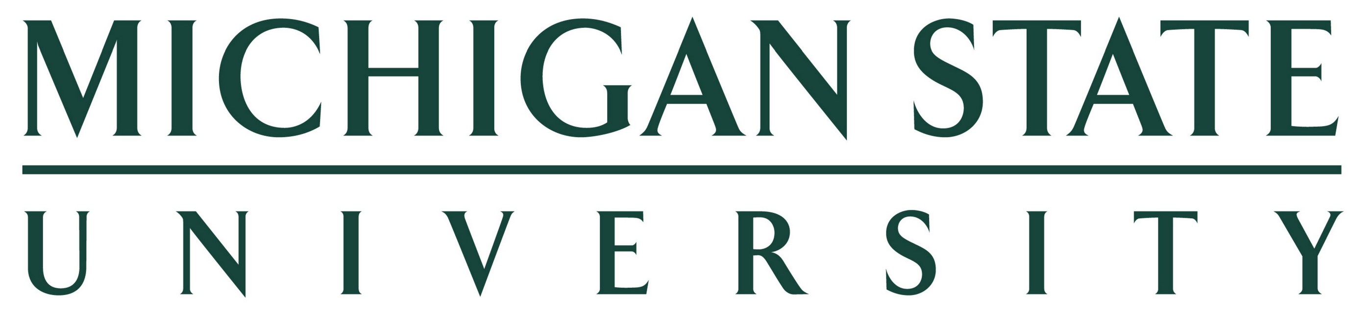 MSU MSU