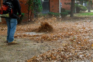 A landscaping contractor blowing leaves during a fall clean up.