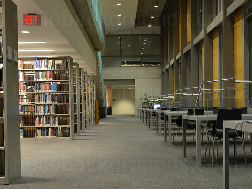 Library study are featuring multiple desks with reading lamps opposite multiple bookcase rows Google Meet background