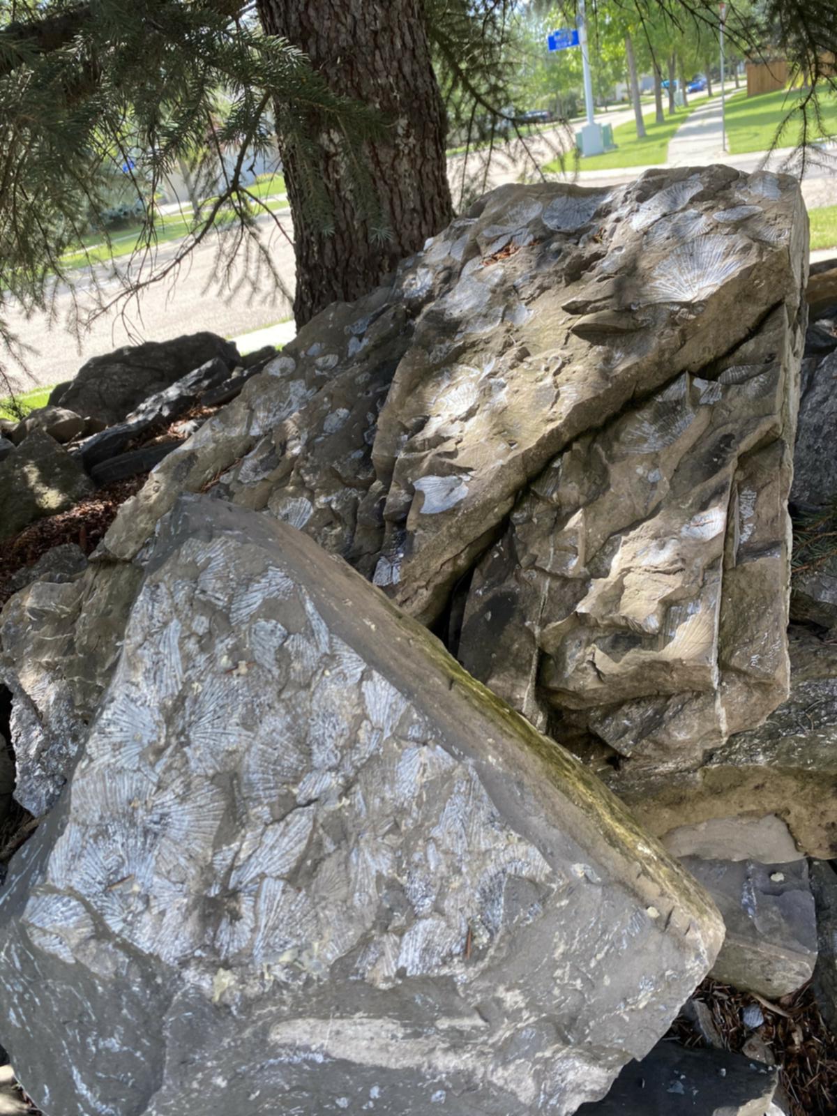 landscaping rock