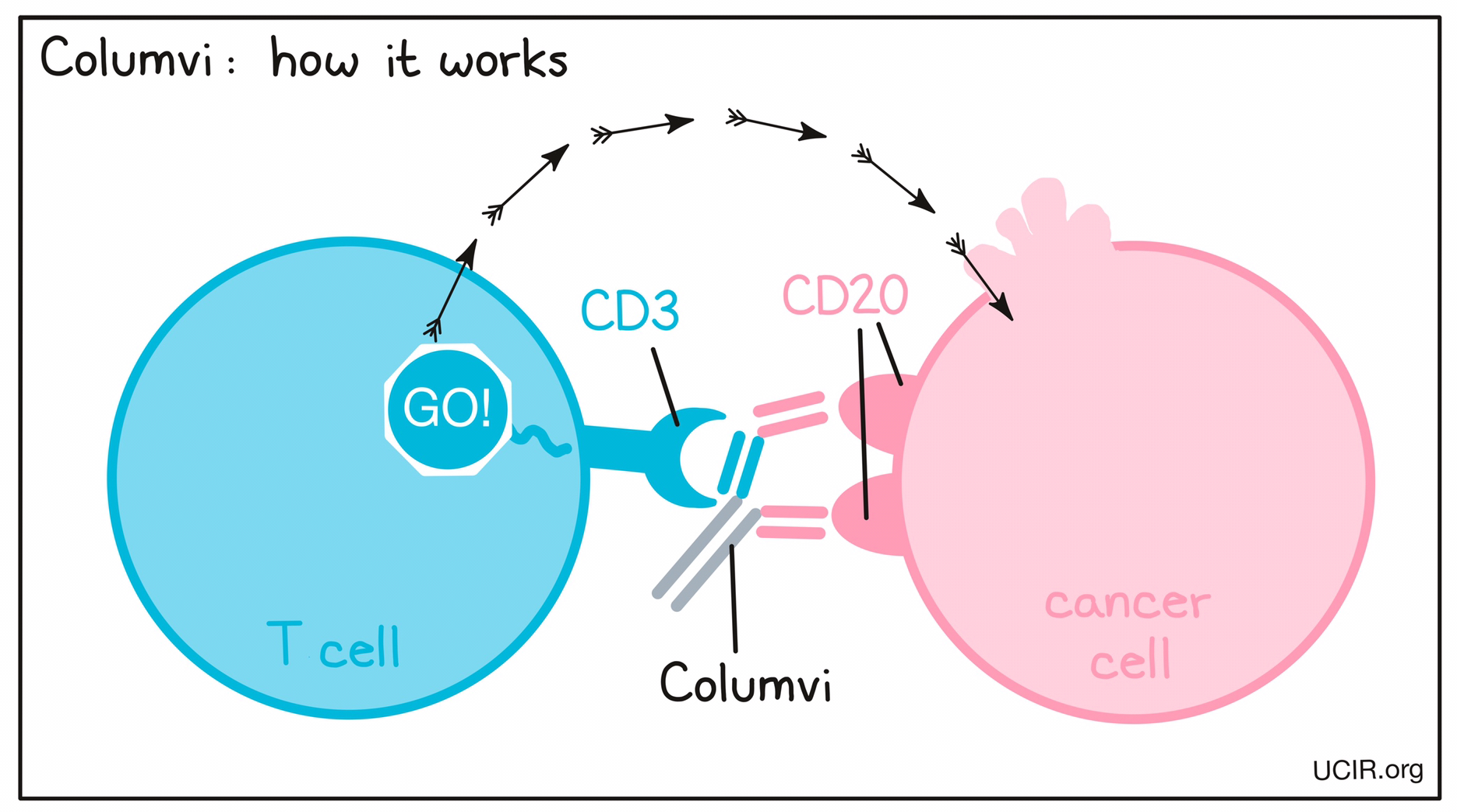 Illustration showing how Columvi works