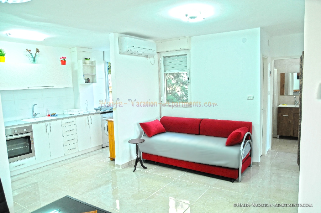 2 sofas in the apartment's livingroom