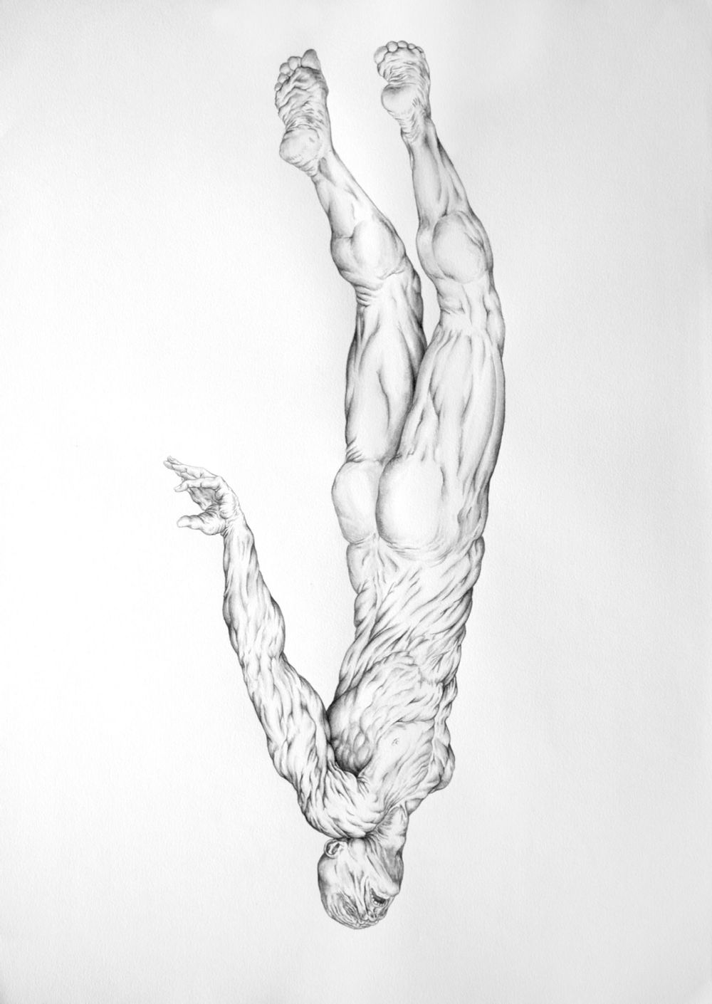 Planktonian People II, 2013, ink on paper, 16.5(h) x 23.25(w) inches