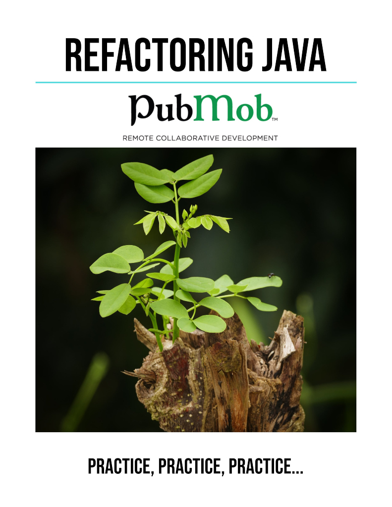 Refactoring Java