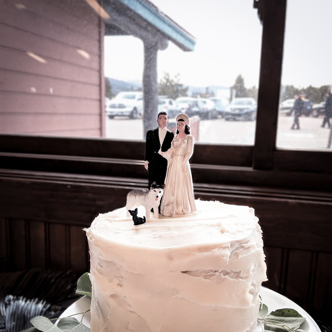 The top of a wedding cake. The bride and groom figures are obviously quite old, but a small husky and black cat of more recent providence have also been added to the top of the cake.