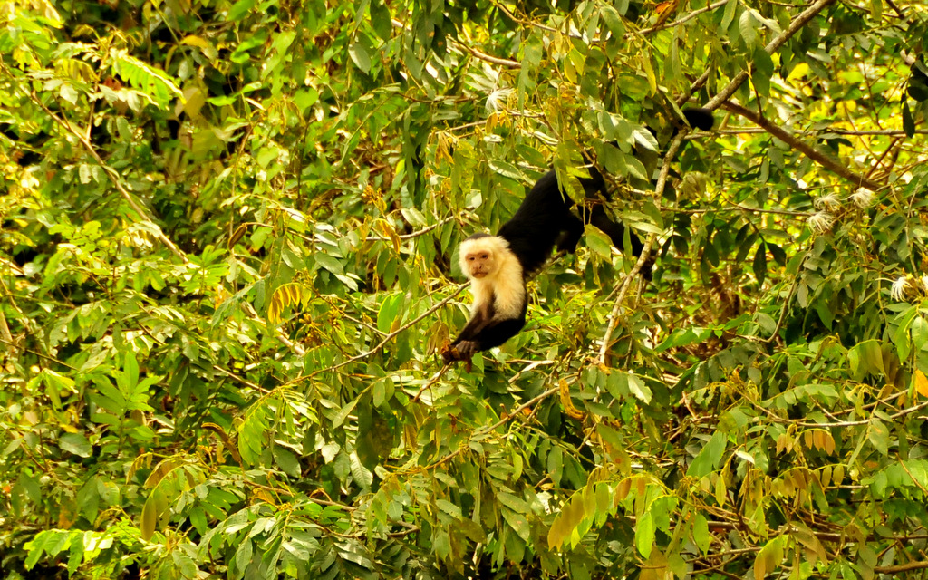 Arenal Nature Things to Do