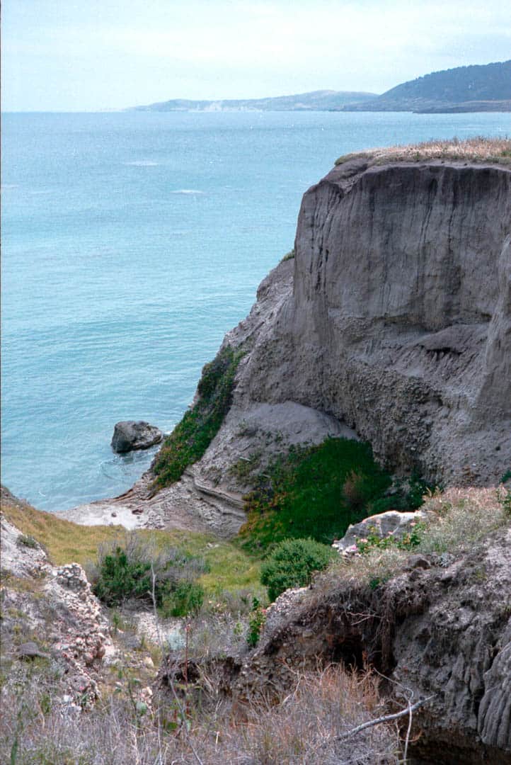 An eroded cliff filled with vegitation next to the ocean