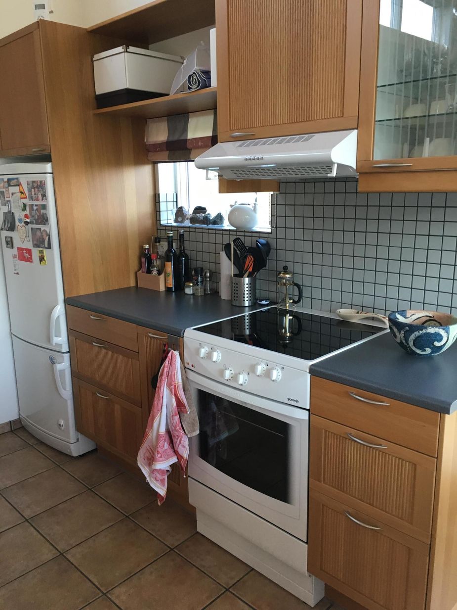 Well-equipped kitchen with large refrigerator, cooker and oven
