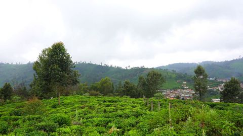 Flat terrain