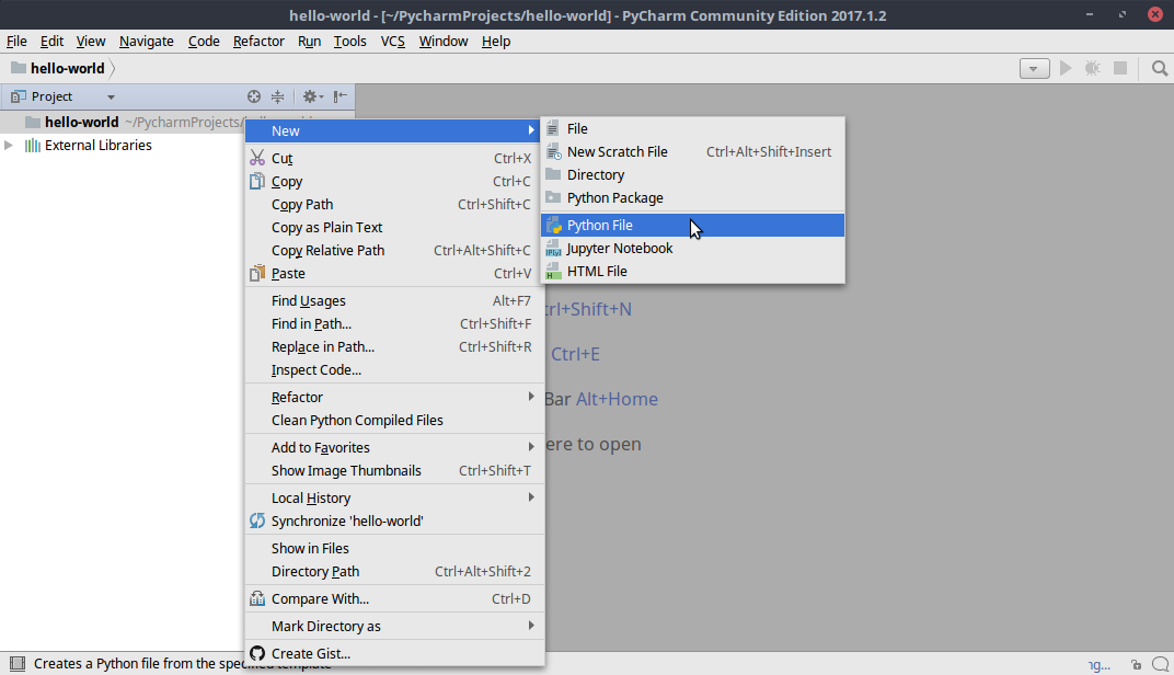 PYCHARM New Python file.