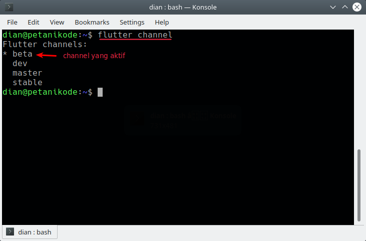 Flutter Channel