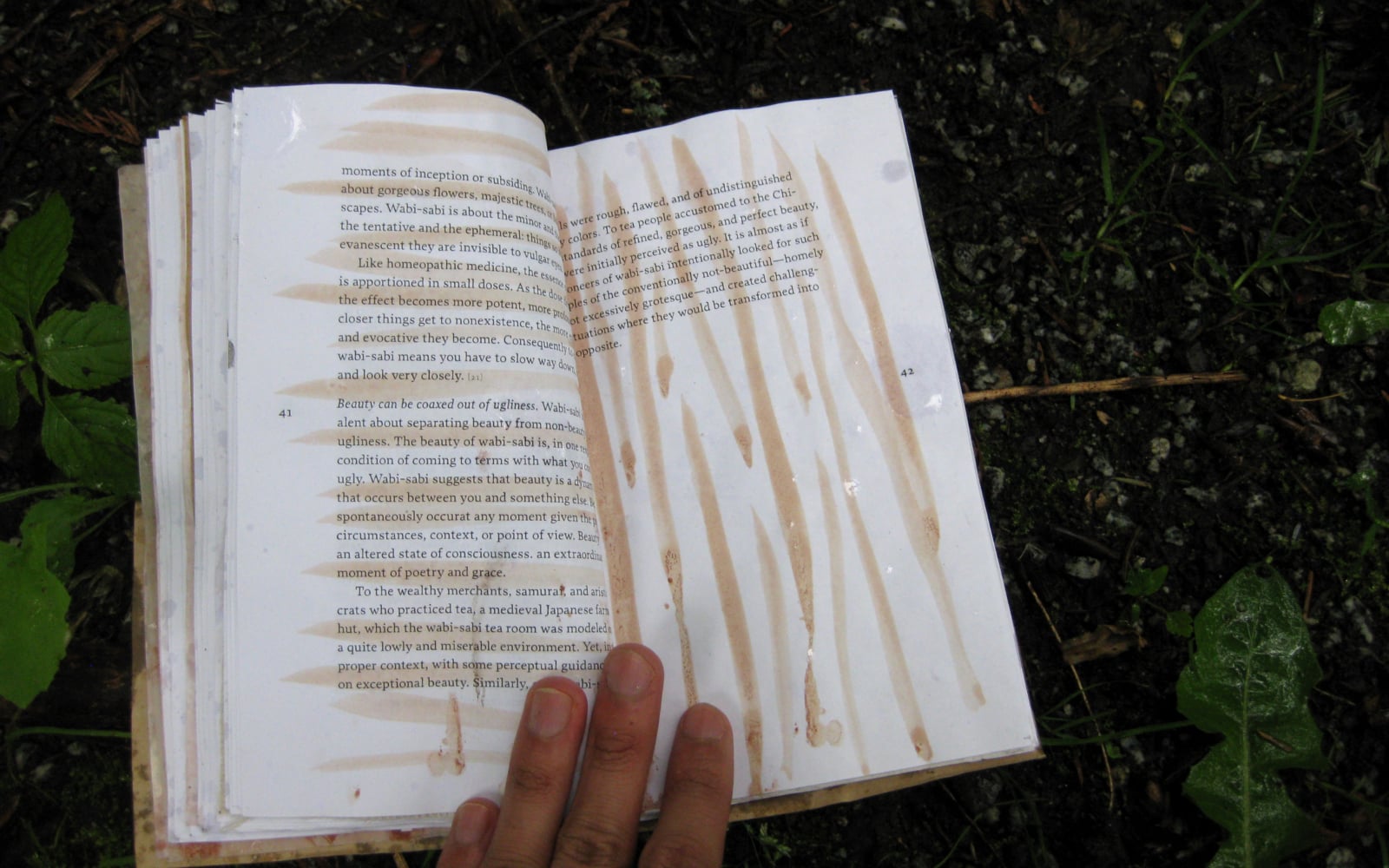 an open book on a wet forest floor.