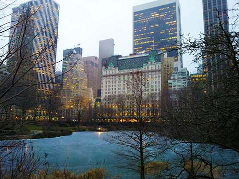 New York skyline from Central Park.