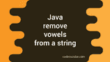 Java program to remove vowels from a string - CodeVsColor