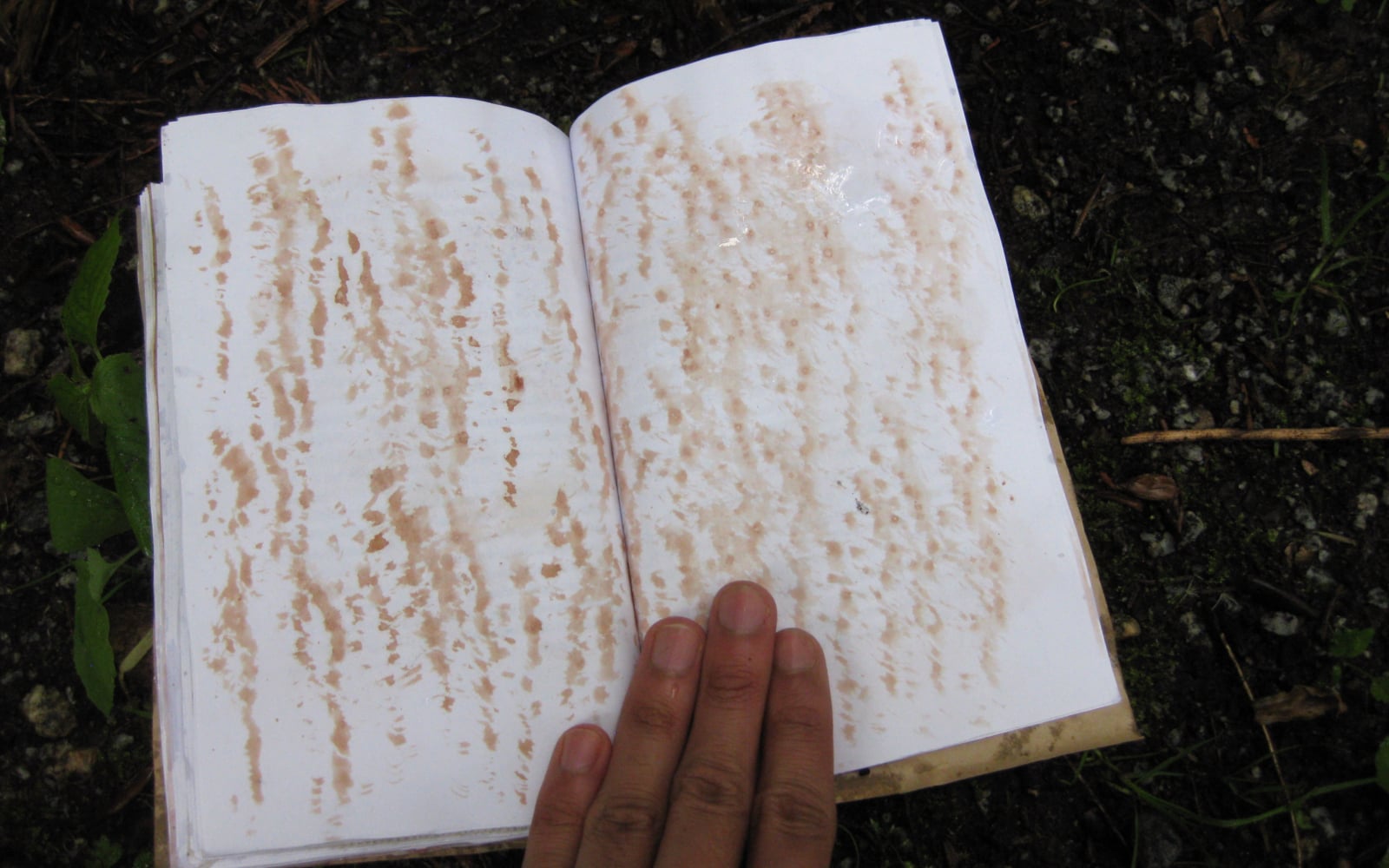 an open book on a wet forest floor. The pages are blank and have been treated with splashes of ink.