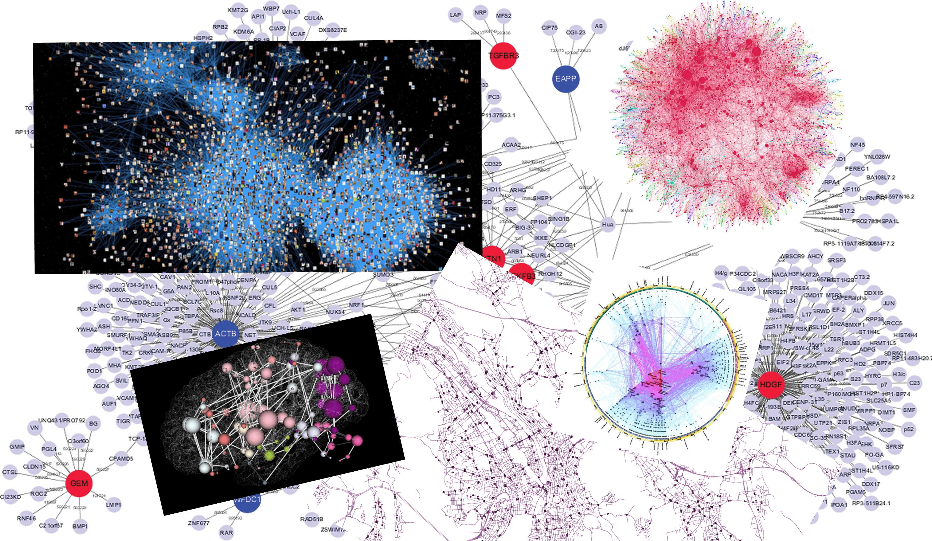 Some examples of graphs found on the Internet.