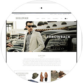 Ecommerce themes