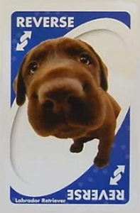 Dog Blue Uno Reverse Card