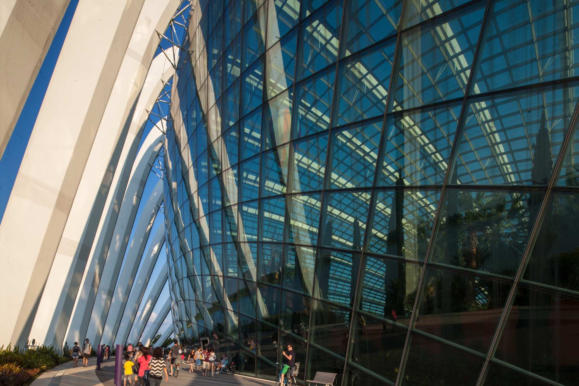 Garden by the bay