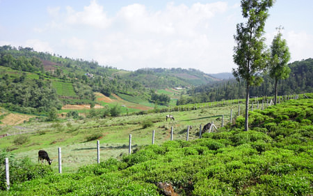 GATED COMMUNITY WITH EXCELLENT VIEWS