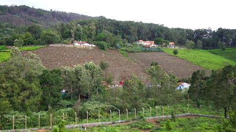 View of the valley