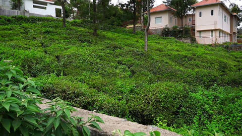 Plot 62 Serenitea - Neighbour house from the plot