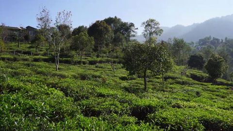 Plot 2 at Vista Chiaro for sale