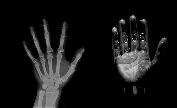 xray and biotech hands