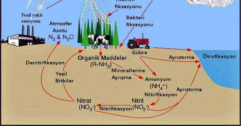 Madde Döngüleri